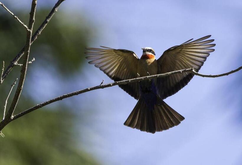 בית מלון כפרי The Outpost & Pel S Post