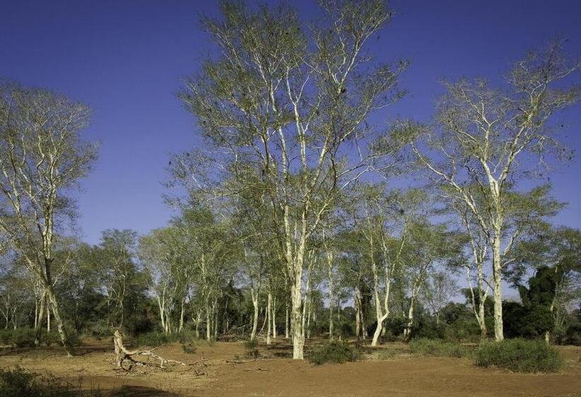 בית מלון כפרי The Outpost & Pel S Post