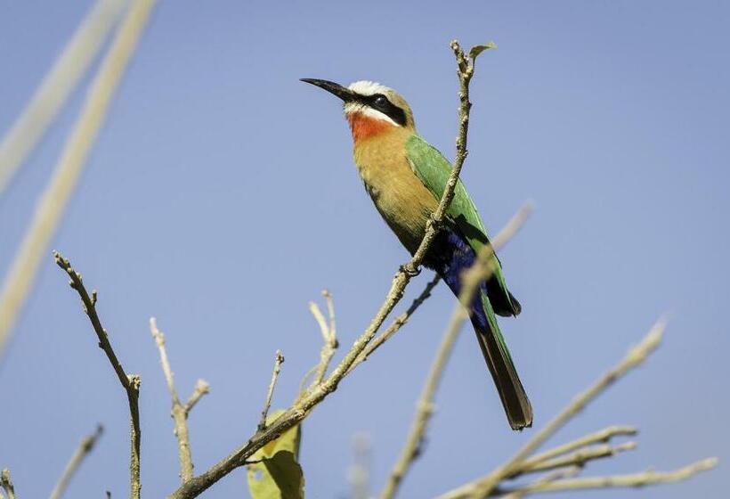 בית מלון כפרי The Outpost & Pel S Post