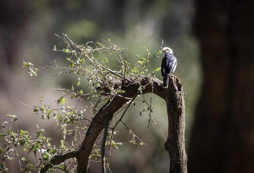 בית מלון כפרי The Outpost & Pel S Post