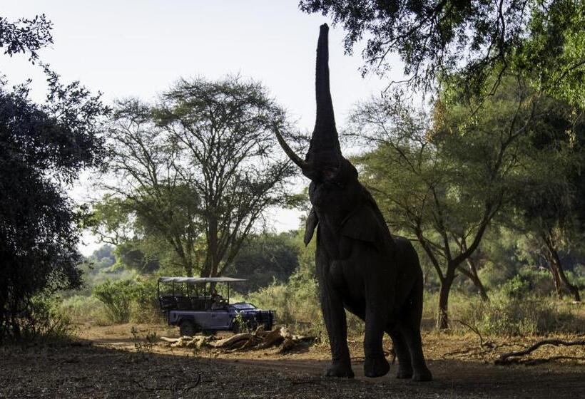 בית מלון כפרי The Outpost & Pel S Post