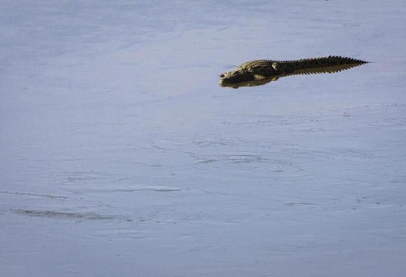 בית מלון כפרי The Outpost & Pel S Post