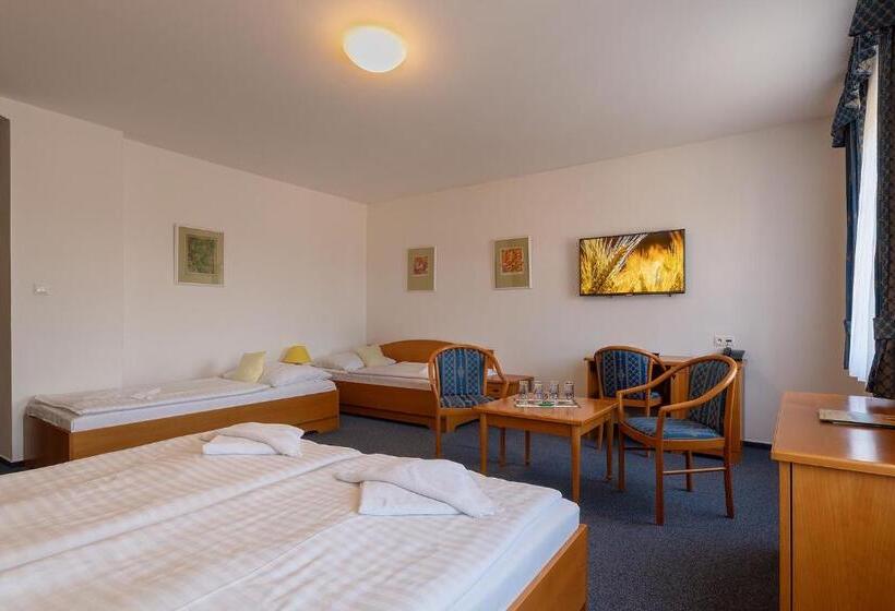 בית מלון כפרי U Sládka