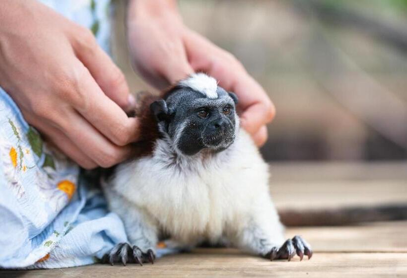 فندق Urraca Monkey Island Eco Resort