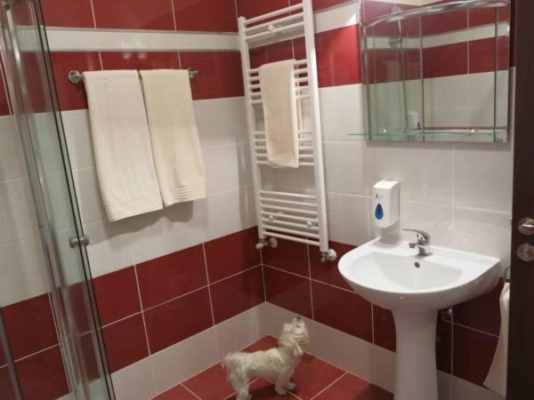 汽车旅馆 Conacul De Pe Lac