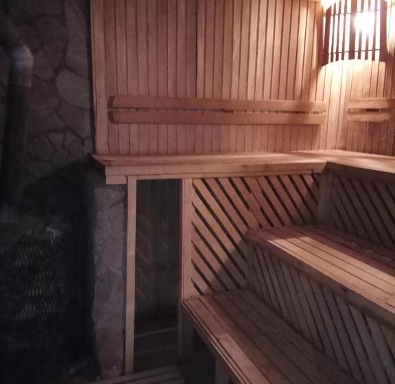 מוטל Karpaty Viking