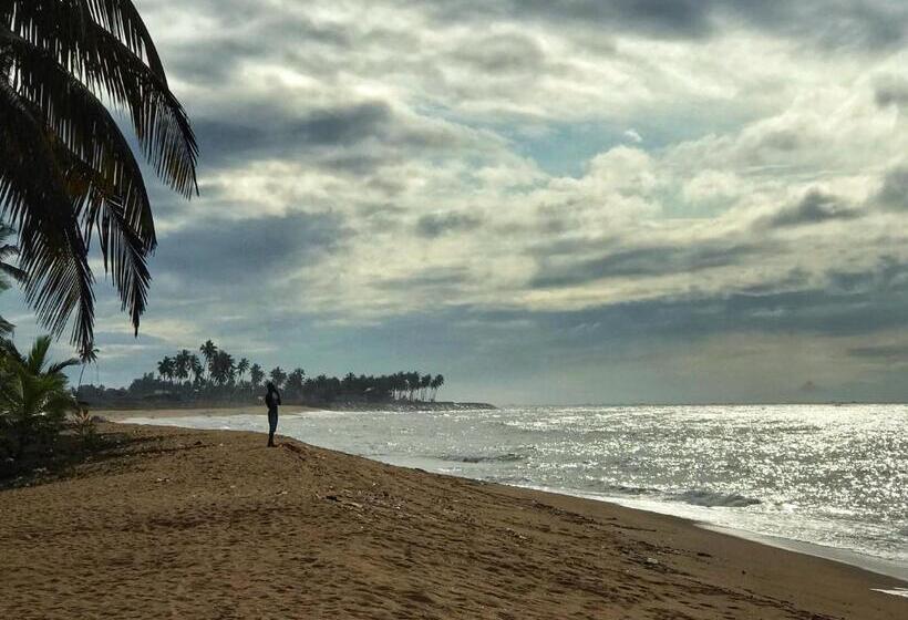 ペンション Afiki