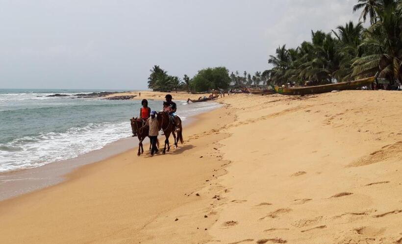 ペンション Afiki