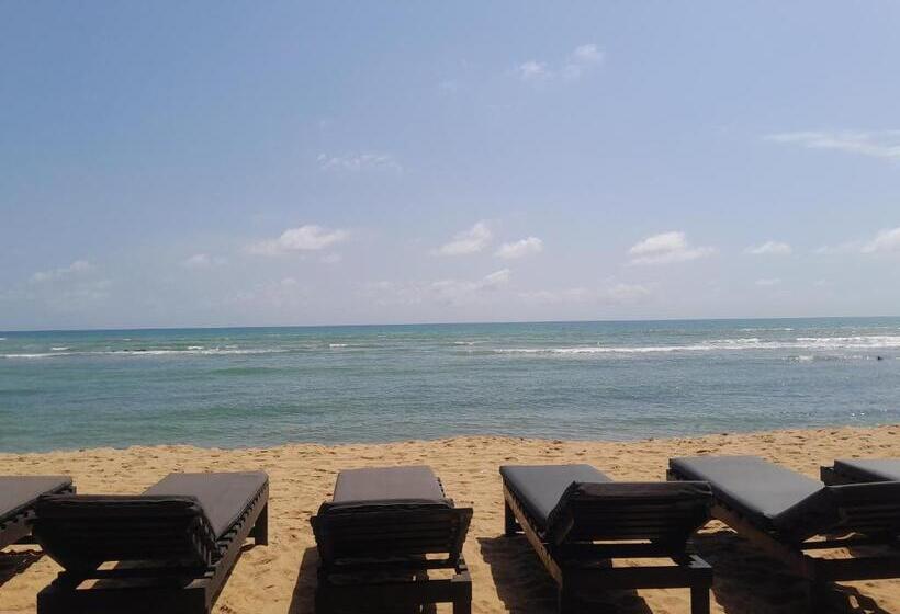 ペンション Afiki