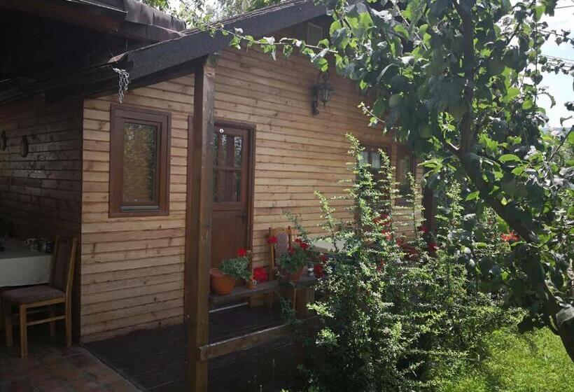 פנסיון Alegria