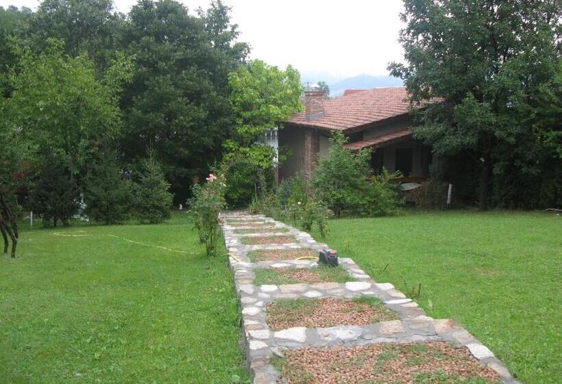 פנסיון Alegria