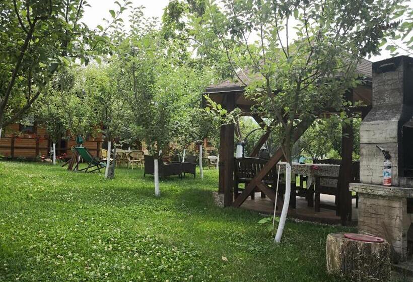 פנסיון Alegria