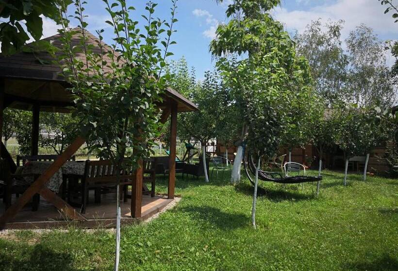 פנסיון Alegria