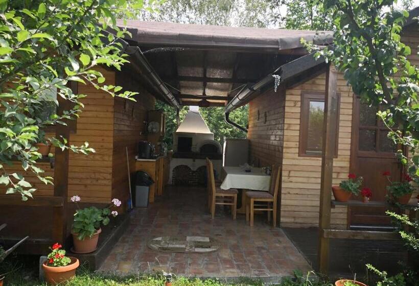 פנסיון Alegria