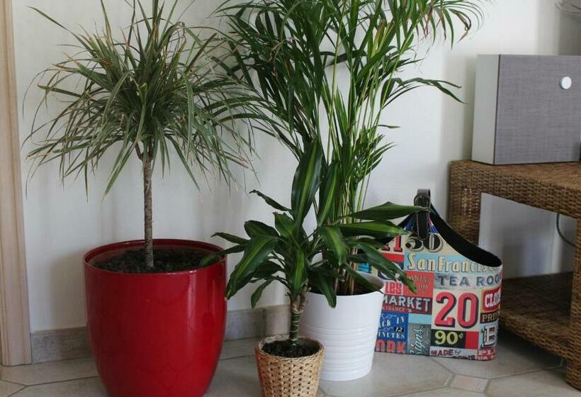 ペンション B Apartment