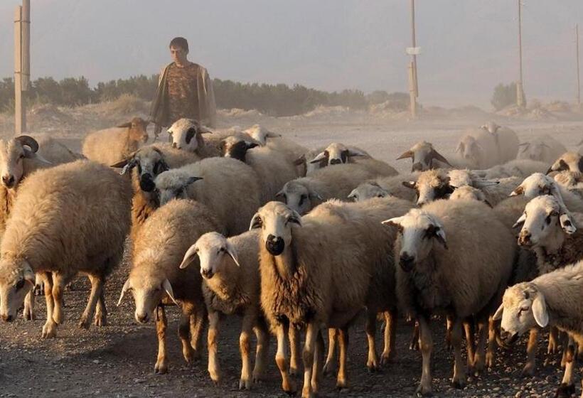 פנסיון Barseghyan's Guest House