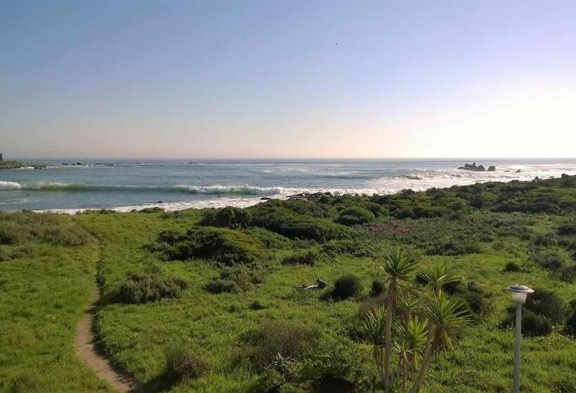 بنسيون Baviana Beach Lodge   Jacobsbaai   Jacobs Bay
