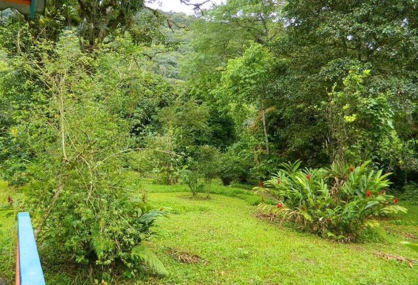 膳宿费 Bicho Do Mato Suites