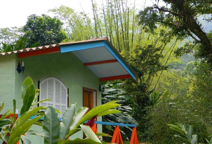 Пансион Bicho Do Mato Suites