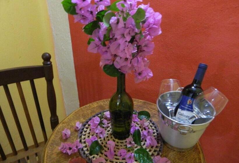 膳宿费 Bicho Do Mato Suites