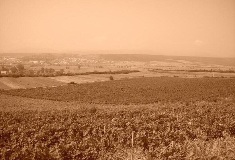 بنسيون Casa Domeniile Vinului