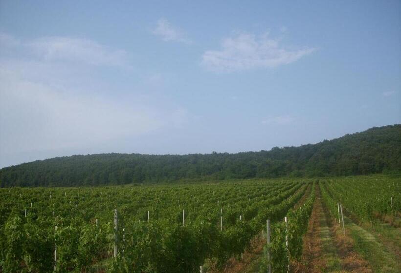 بنسيون Casa Domeniile Vinului