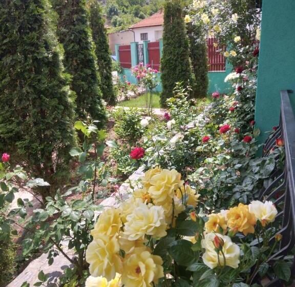 پانسیون Casa Lucian