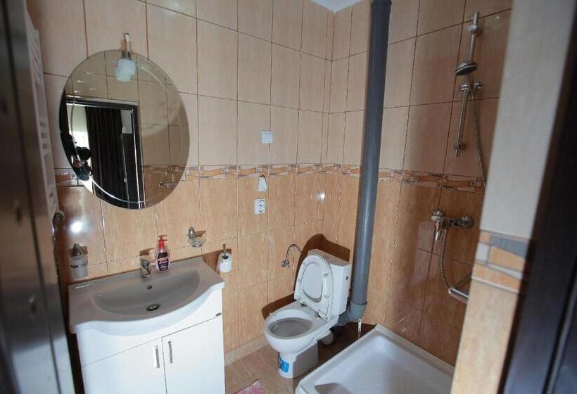 Пансион Casa Lucian