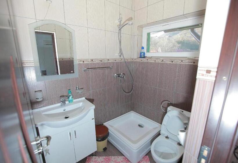 Пансион Casa Lucian