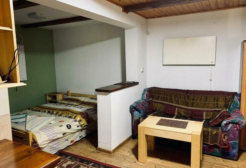 بنسيون Casa Maria Izvorul Muresului