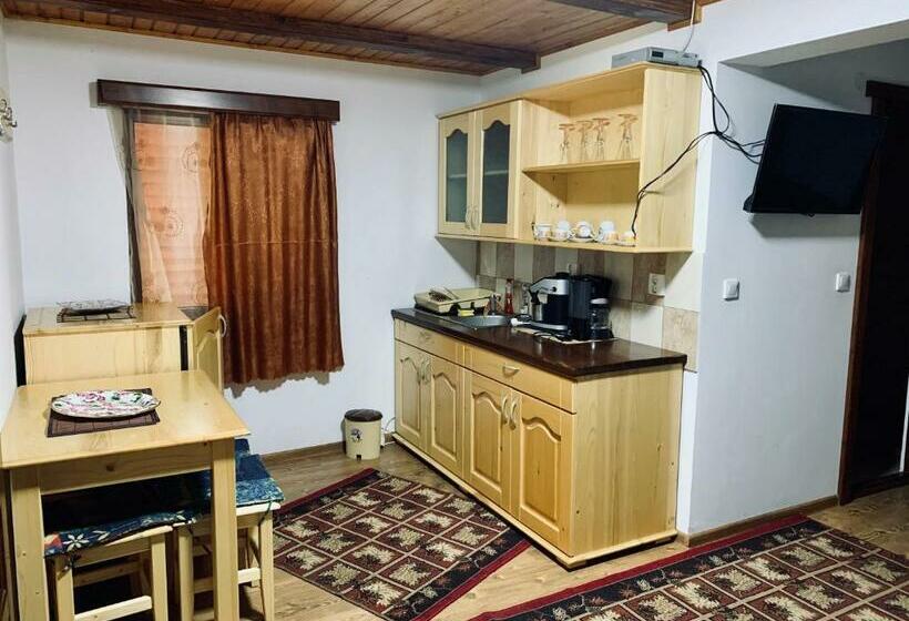 بنسيون Casa Maria Izvorul Muresului