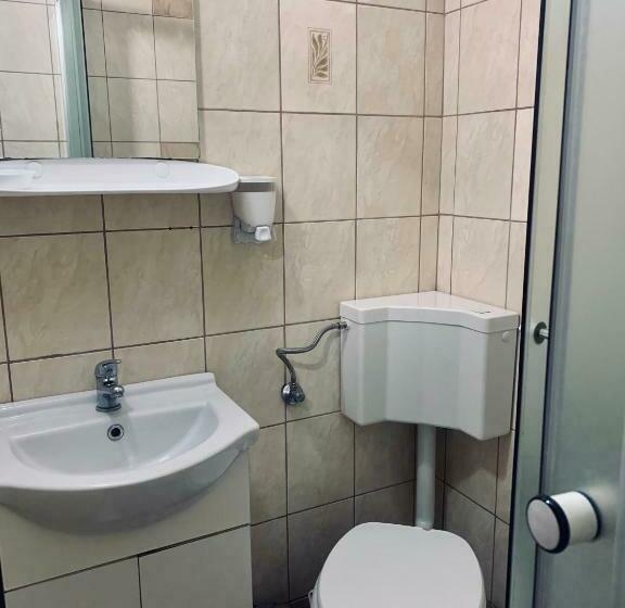 بنسيون Casa Maria Izvorul Muresului