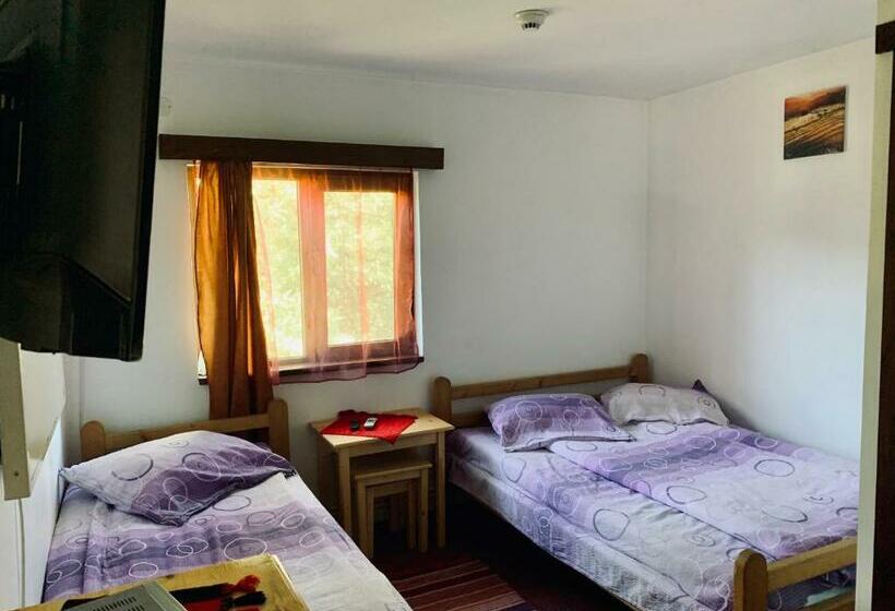 بنسيون Casa Maria Izvorul Muresului