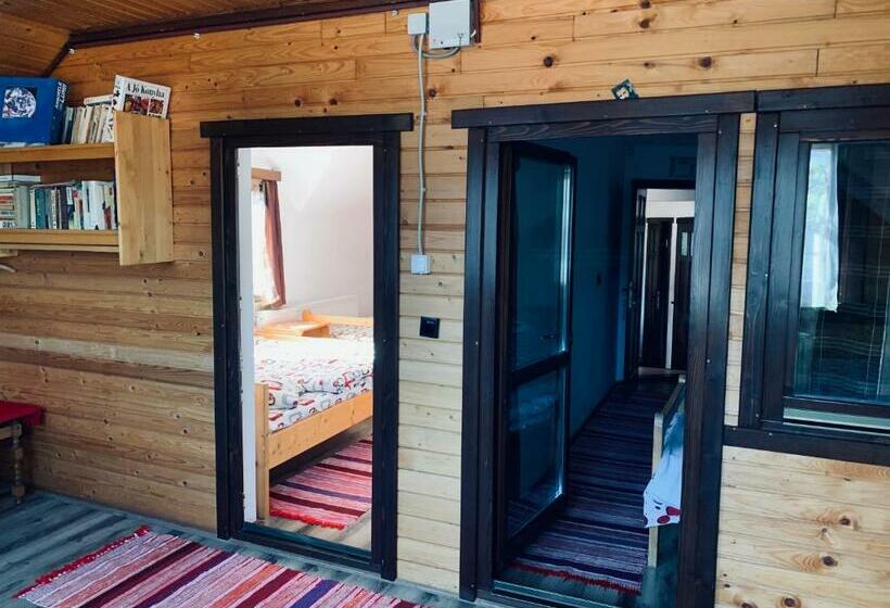 بنسيون Casa Maria Izvorul Muresului