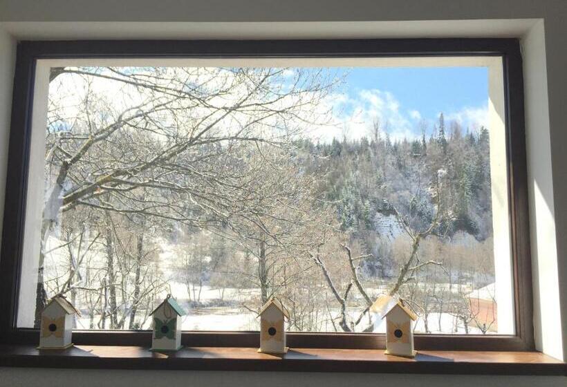 膳宿费 Cazare Colibita Casa Lipan