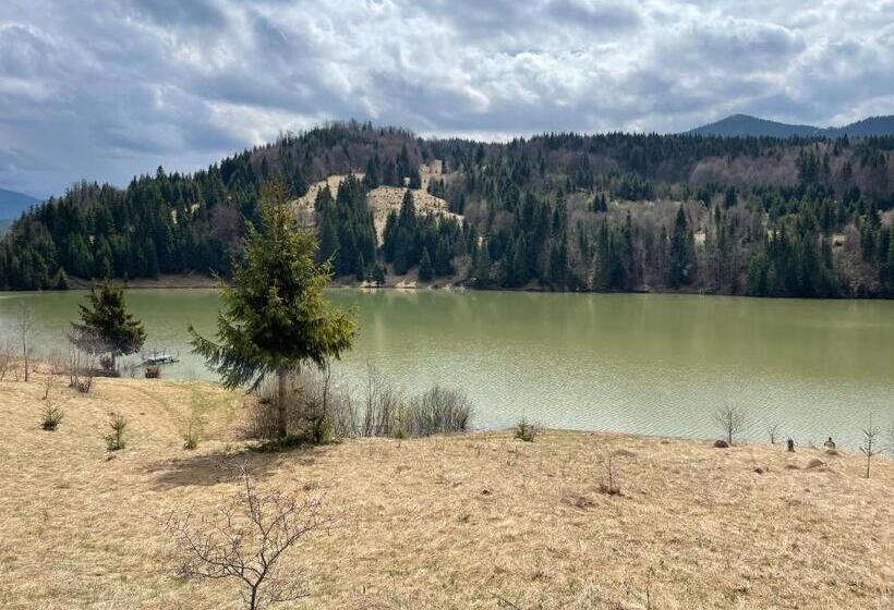 膳宿费 Cazare Colibita Casa Lipan