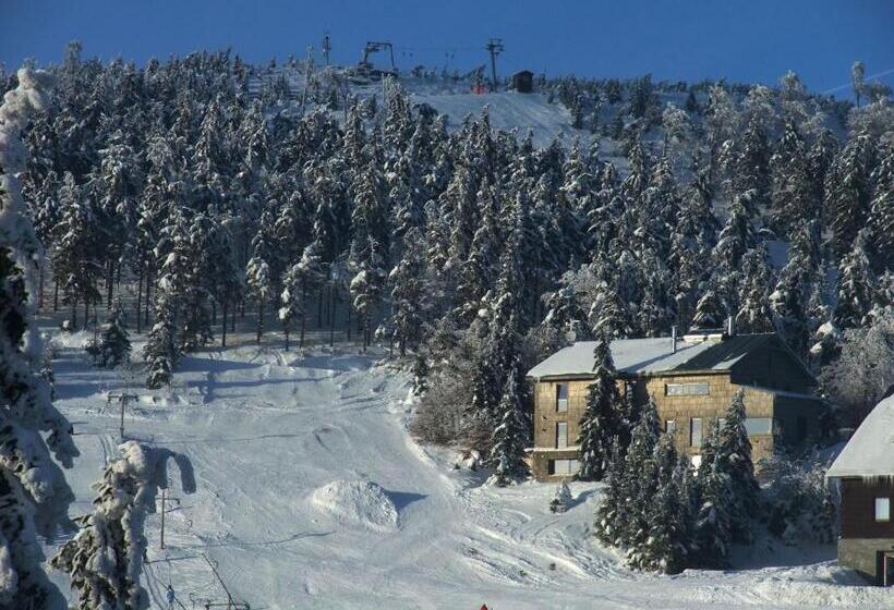 ペンション Chata H&d červenohorské Sedlo