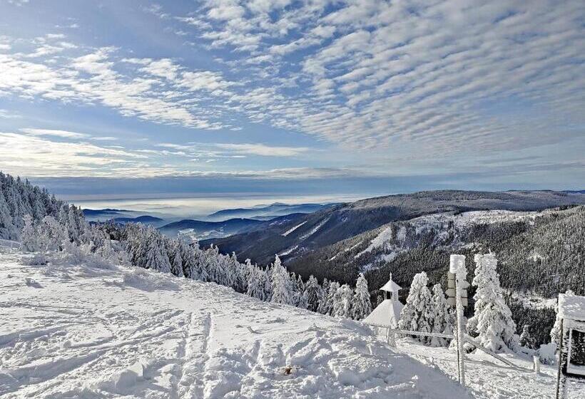 ペンション Chata H&d červenohorské Sedlo