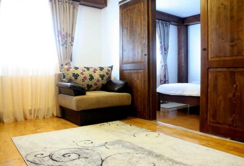 膳宿费 Conacul Samfirei