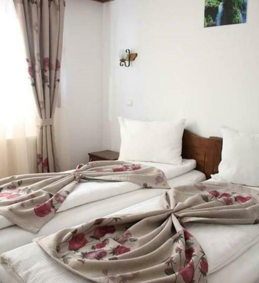 膳宿费 Conacul Samfirei