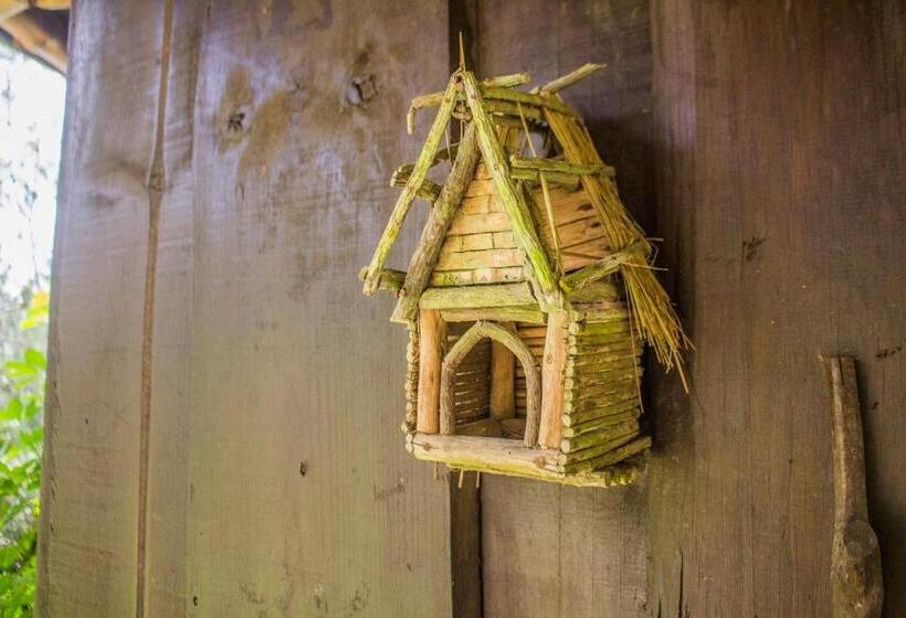 פנסיון Curucaca Hotel Brasil