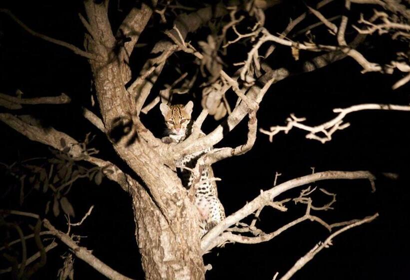 بنسيون Fazenda San Francisco