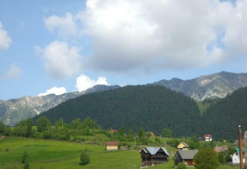 膳宿费 Garofita Pietrei Craiului