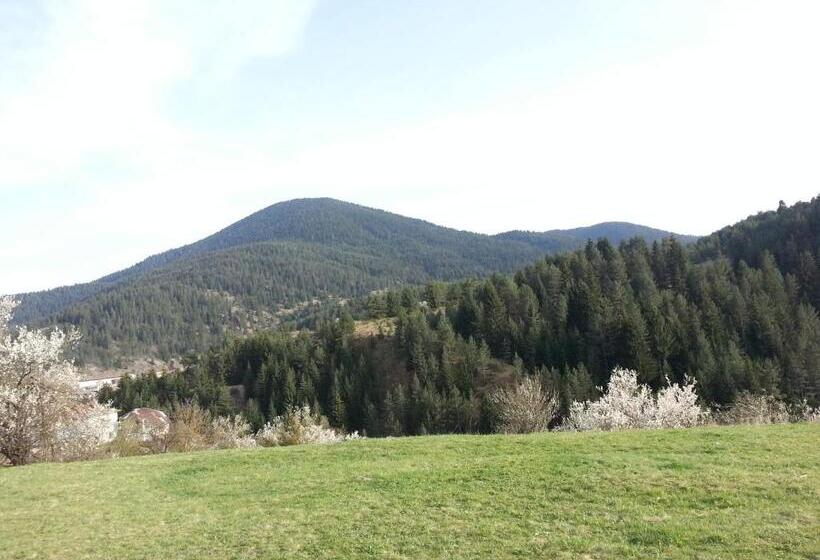 膳宿费 Guest House Stoletnika