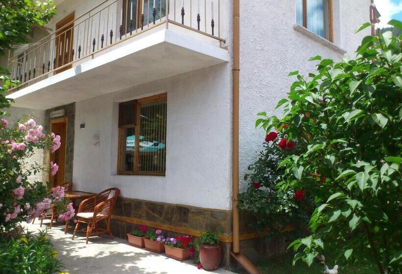 膳宿费 Guest House Stoletnika