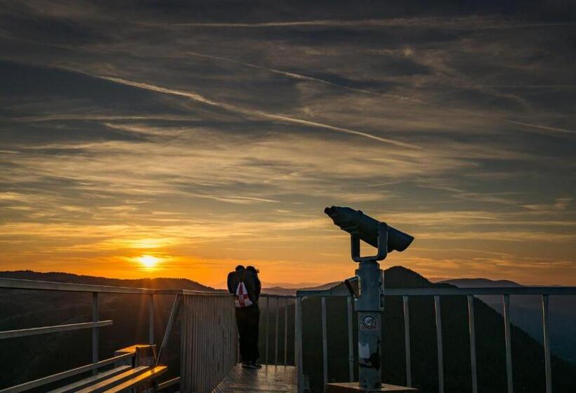 膳宿费 Guest House Stoletnika