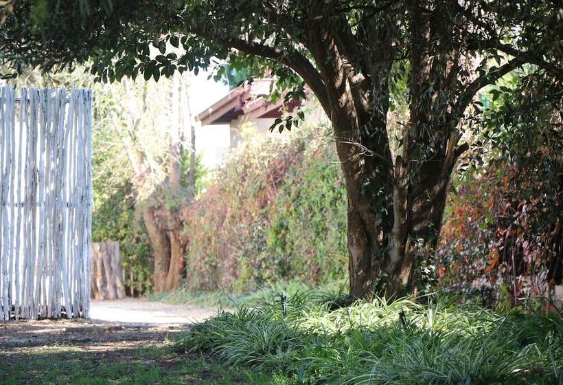 بنسيون Indigo Moon Guesthouse