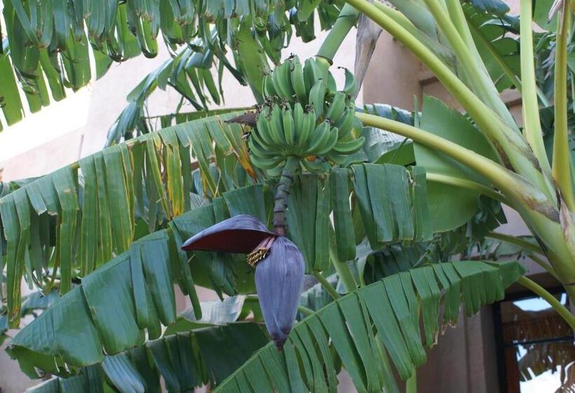 ペンション La Kasbah Aalma D'or