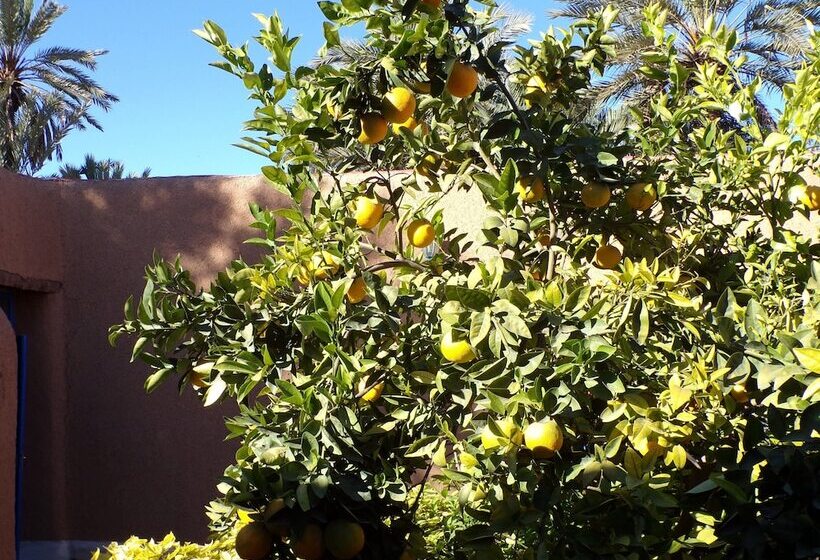 膳宿费 La Maison De L Homme Bleu