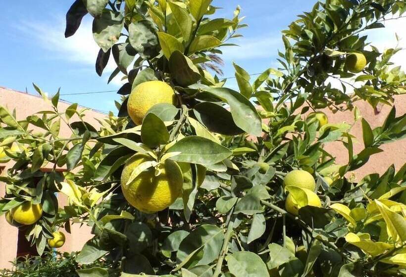 פנסיון La Maison De L Homme Bleu